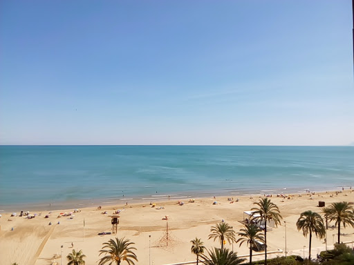 Información y opiniones sobre Invictus de Cullera