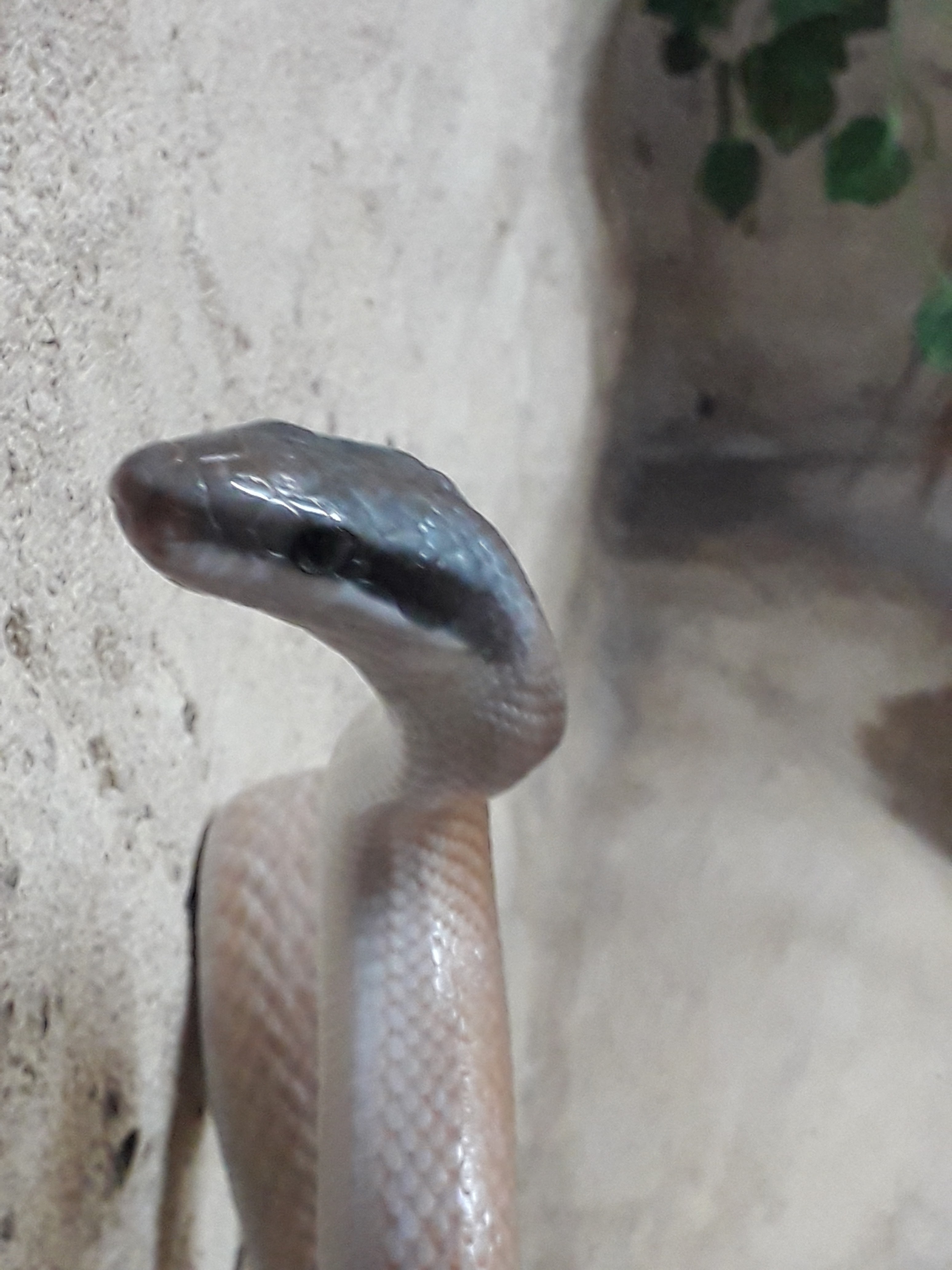 Photo n° 2 de l'avis de PRIVé.o fait le 31/08/2021 à 16:59