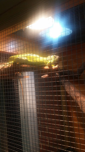 Museum «Discovery Place Nature», reviews and photos, 1658 Sterling Rd, Charlotte, NC 28209, USA