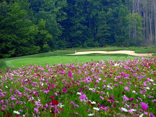 Golf Club «Tennessee Mountain Golf», reviews and photos, 5731 Peavine Rd, Crossville, TN 38571, USA