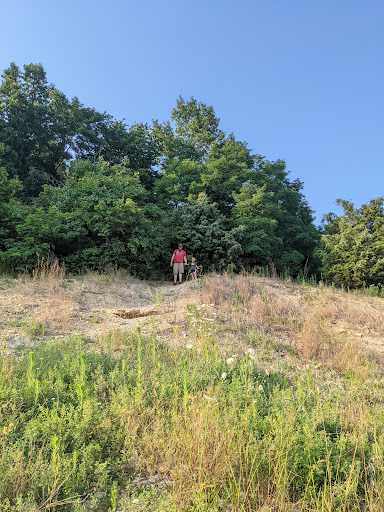 Park «Trammel Fossil Park», reviews and photos, Tramway Dr, Sharonville, OH 45241, USA