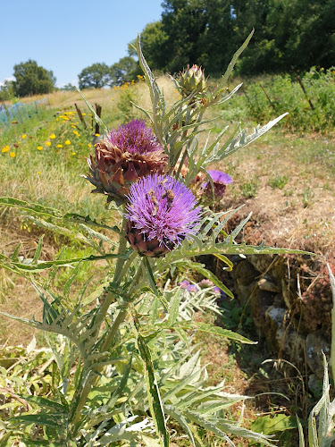 Le Potager d’un curieux à Saignon