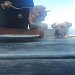 Photo n°4 de l'avis de Michele.a fait le 20/08/2021 à 15:33 sur le  Tuffalm à Völs am Schlern