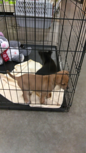 Pet Supply Store «PetSmart», reviews and photos, 1945 Pavilion Way, Lexington, KY 40509, USA