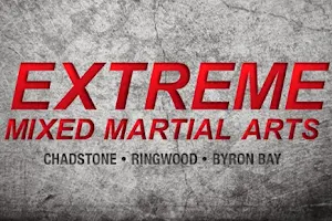 Extreme Mixed Martial Arts image