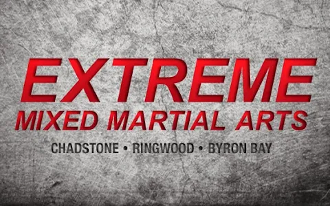 Extreme Mixed Martial Arts image