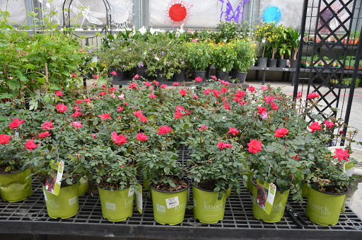 Hardware Store «Sutherlands Lumber #1220», reviews and photos, 6709 Blue Ridge Blvd, Raytown, MO 64133, USA