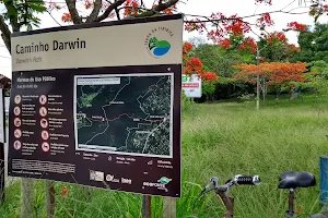 Caminho de Darwin image