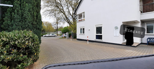 Dr. med. vet. Stefan Kindler Tierarzt unter Wiesbaden, Hessen