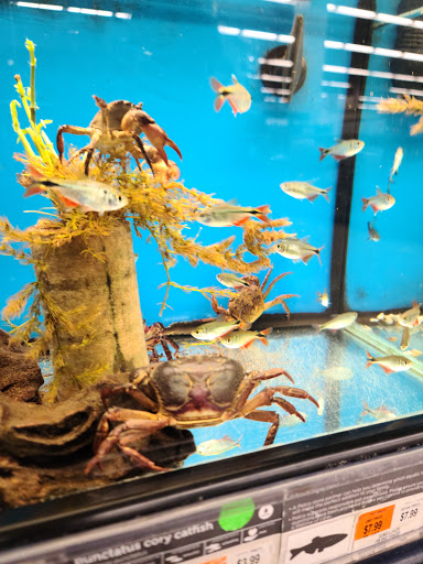 Pet Supply Store «Petco Animal Supplies», reviews and photos, 1 US-46, Totowa, NJ 07512, USA