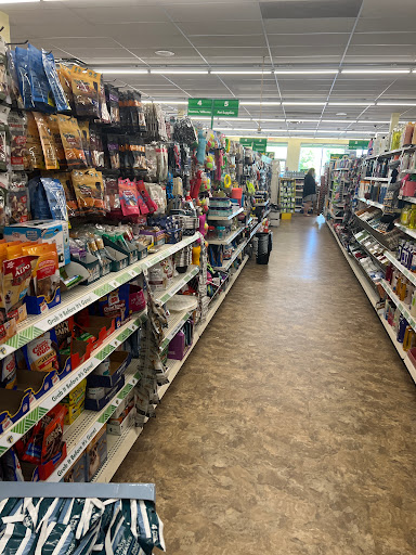 Dollar Store «Dollar Tree», reviews and photos, 8491 Grand River Ave, Brighton, MI 48116, USA
