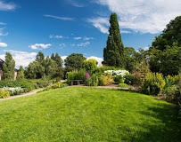 Pro Attention Home & Commercial Services - Photo 2 - Car repair in , Austin