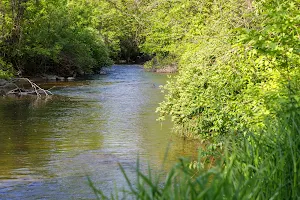 Tyler Creek Forest Preserve image