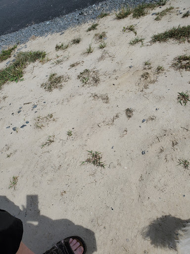 Theme Park «Frontier Town Western Theme Park», reviews and photos, 8428 Stephen Decatur Hwy, Berlin, MD 21811, USA