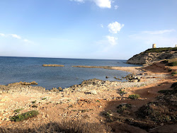 Capo Mannu Beach'in fotoğrafı vahşi alan