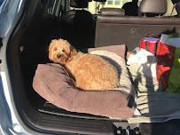 Busy B's Board and Train - Photo 9 - Car repair in , Sparks