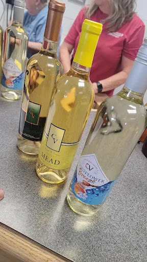 Vineyard «Chautauqua Vineyard & Winery», reviews and photos, 364 Hugh Adams Rd, Defuniak Springs, FL 32435, USA