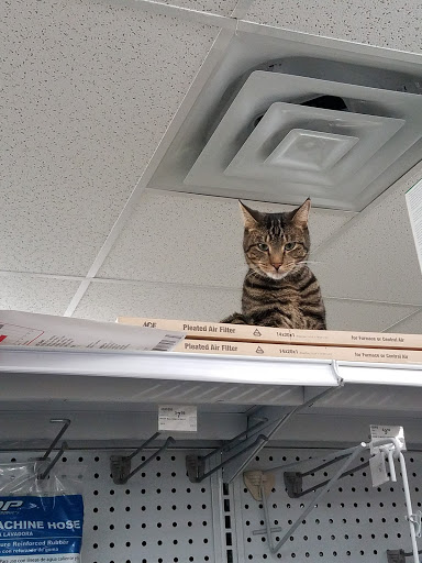 Hardware Store «Ace Hardware of Woodbury», reviews and photos, 690 Main St S, Woodbury, CT 06798, USA