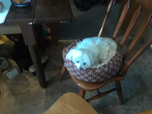 Pet Supply Store «Animal House», reviews and photos, 1509 S Black Horse Pike, Williamstown, NJ 08094, USA