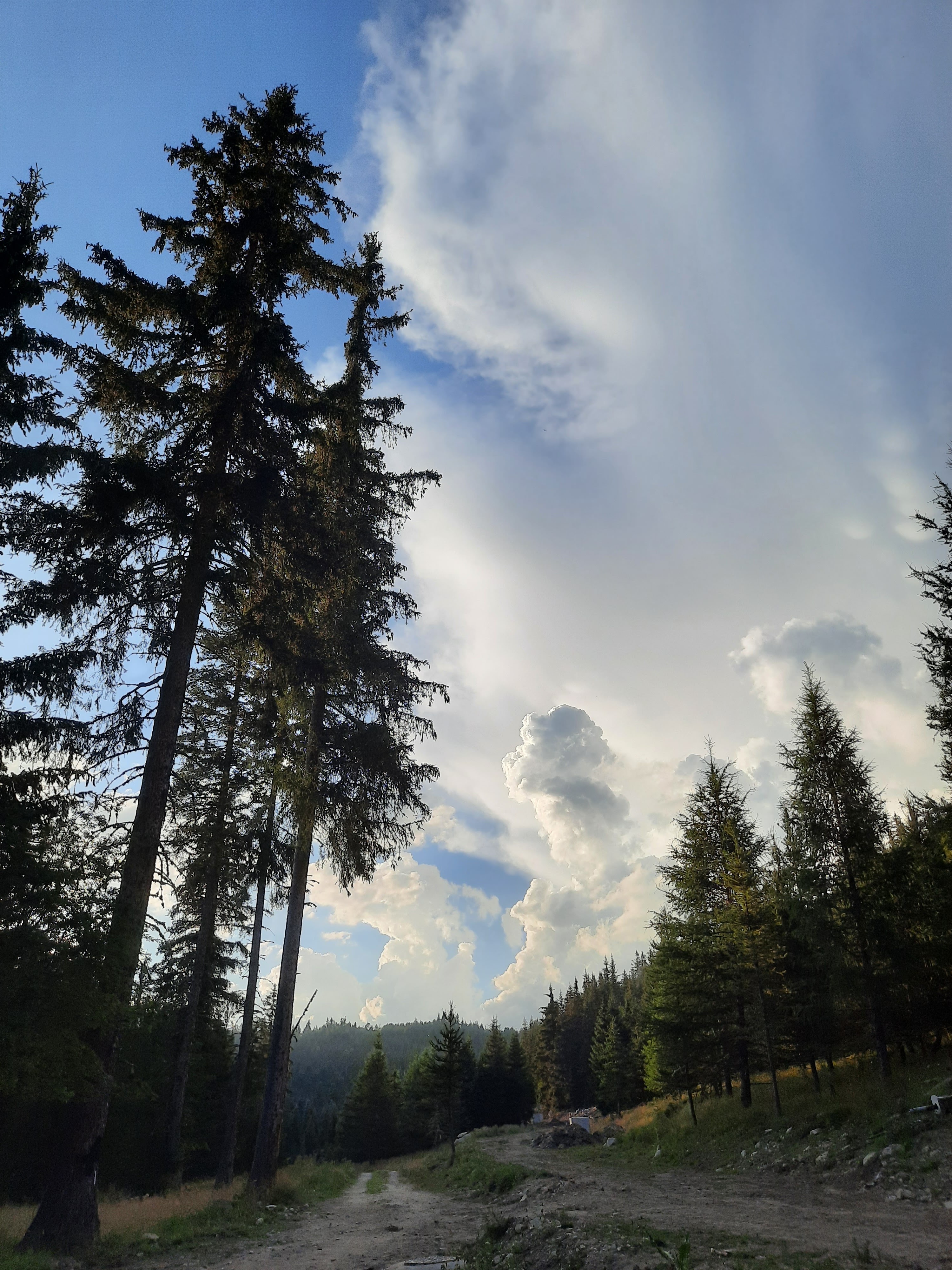 Photo n° 3 de l'avis de jean-francois.l fait le 31/07/2020 à 19:02