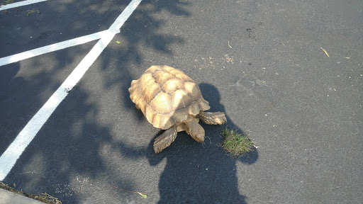 Motorcycle Dealer «Phantom Harley-Davidson», reviews and photos, 291 N Cypress Dr, Manteno, IL 60950, USA