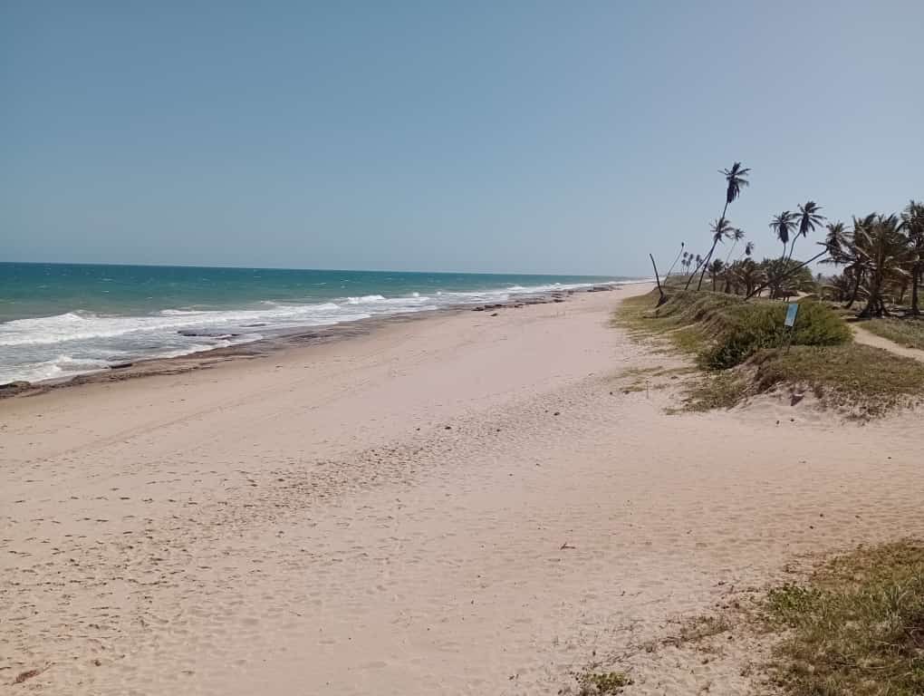 Emissary of Arembepe Beach'in fotoğrafı düz ve uzun ile birlikte