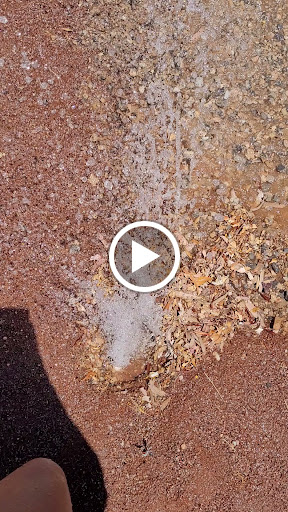 Park «Rainbow Family Park», reviews and photos, 7151 W Oakey Blvd, Las Vegas, NV 89117, USA