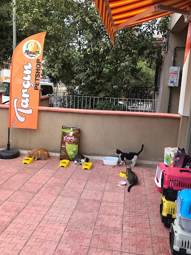 By Tarçın Petshop | Efeler Aydın - Evcil hayvan mağazası
