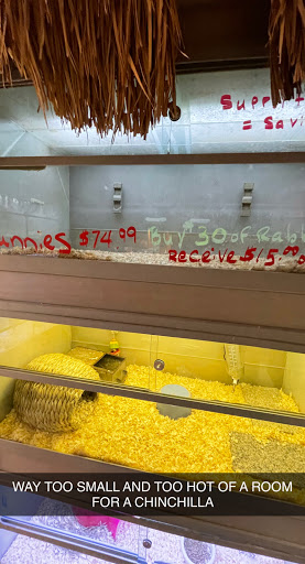 Pet Supply Store «Pet City», reviews and photos, 185 Lafayette Rd, Seabrook, NH 03874, USA