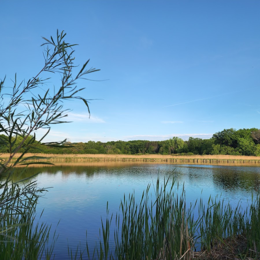 Dufield Pond Conservation Area