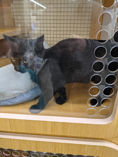 Pet Supply Store «Petco Animal Supplies», reviews and photos, 2824 Long Beach Rd, Oceanside, NY 11572, USA