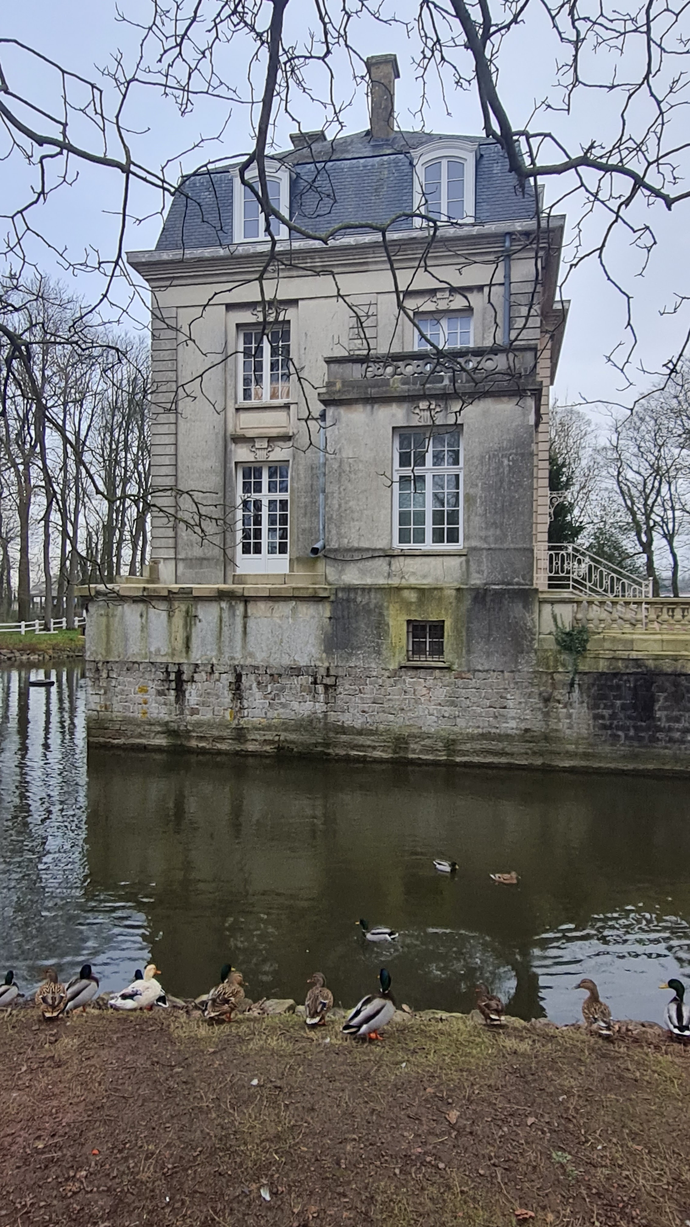 Photo n° 2 de l'avis de Ralph.e fait le 29/01/2023 à 16:46