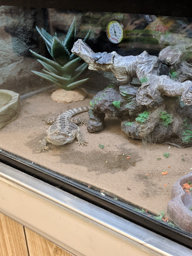 Pet Supply Store «Petco Animal Supplies», reviews and photos, 190 Quality Dr, Hooksett, NH 03106, USA