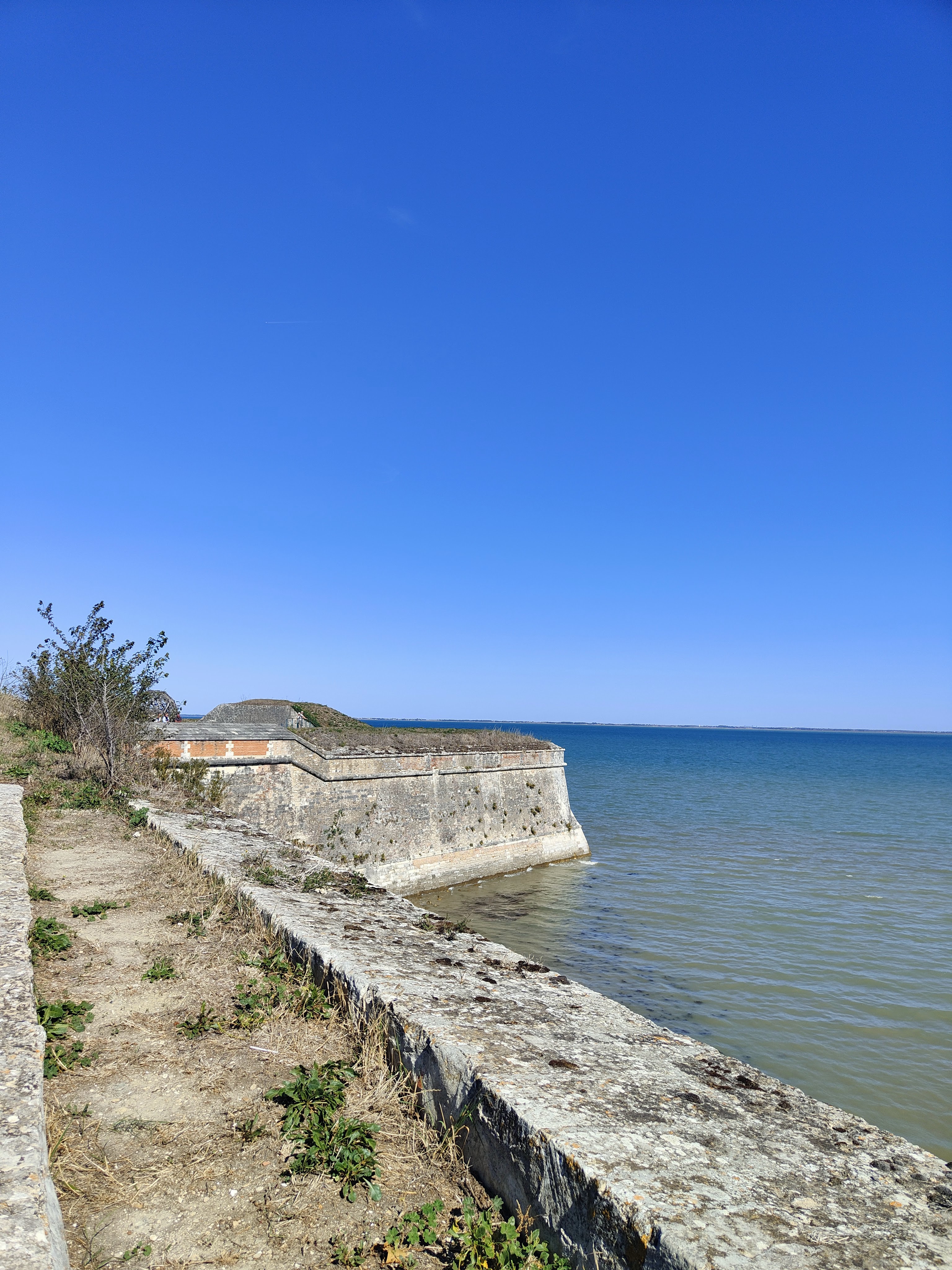 Photo n° 4 de l'avis de Frédéric.F fait le 22/09/2022 à 14:49