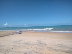 Praia do Veleiro'in fotoğrafı doğal alan içinde bulunmaktadır