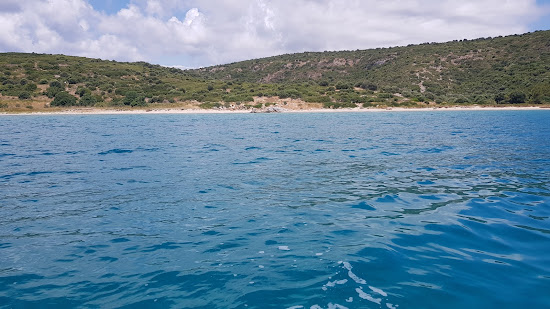 Explore Bay
