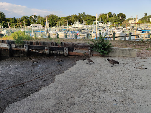 Park «Lemon Creek Park», reviews and photos, Hylan Blvd, Staten Island, NY 10309, USA