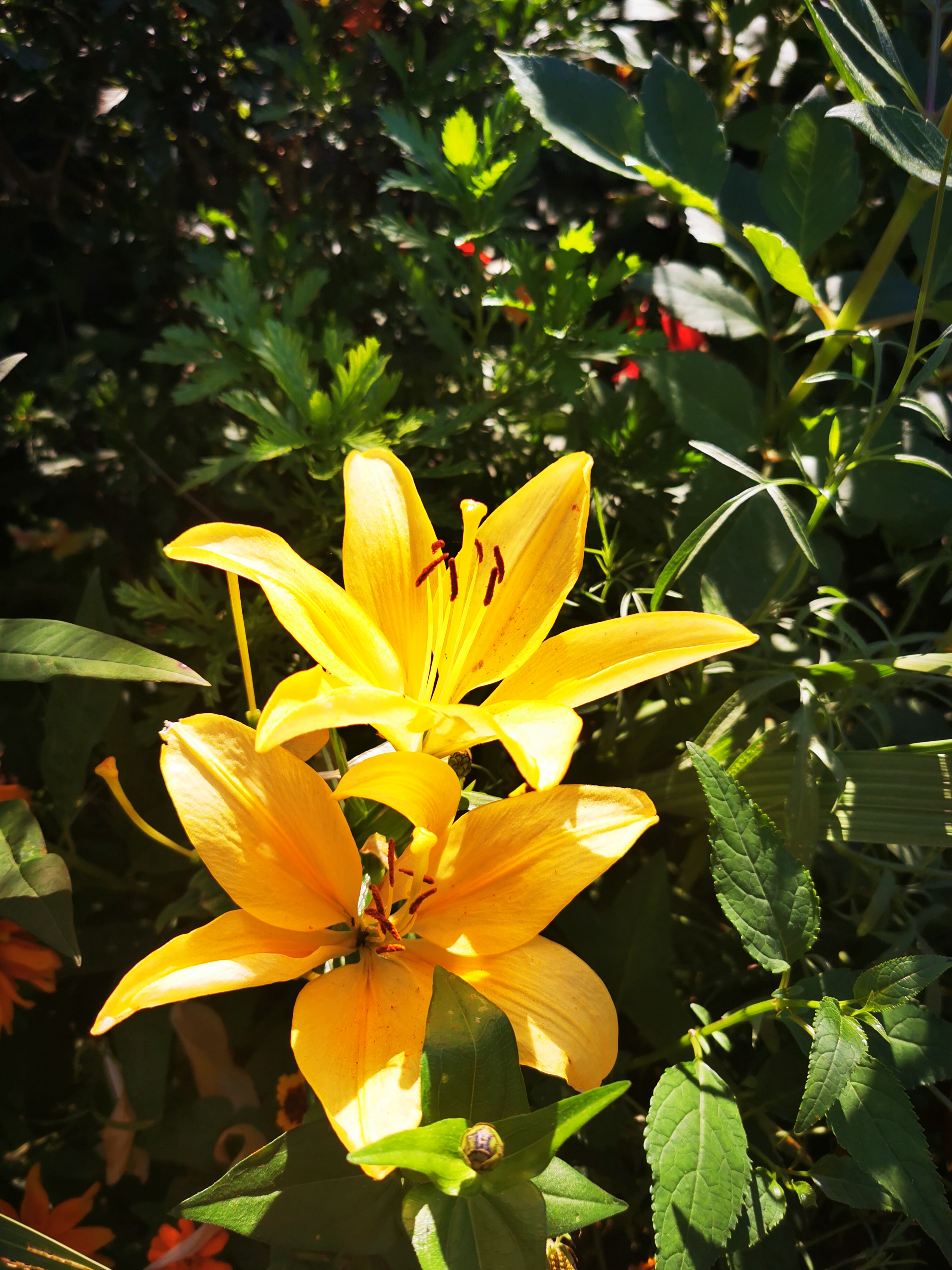 Photo n° 16 de l'avis de ASMA.A fait le 16/08/2022 à 18:29