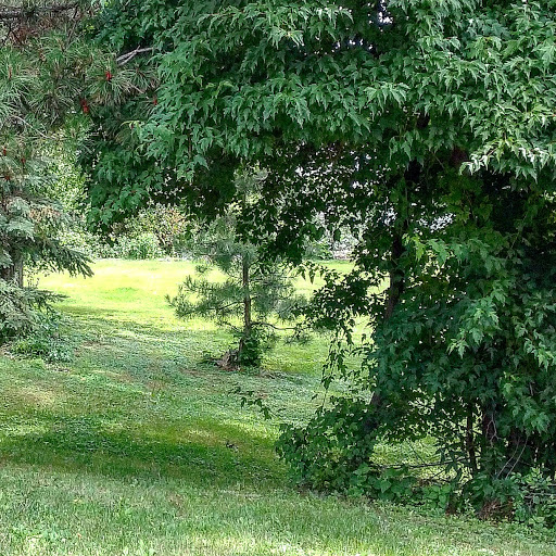 Park «High Bridge Park North», reviews and photos, 476 Smith Ave S, St Paul, MN 55102, USA