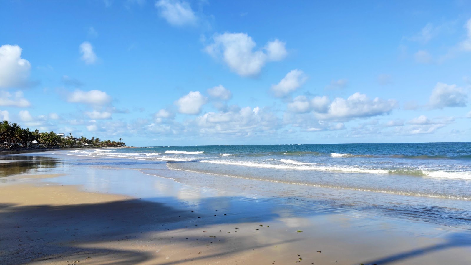 Zdjęcie Plaża Żółwia obszar udogodnień