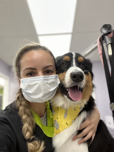 Pet Groomer «Mario`s Pet Grooming & Boutique», reviews and photos, 708 SE 17th St, Fort Lauderdale, FL 33316, USA