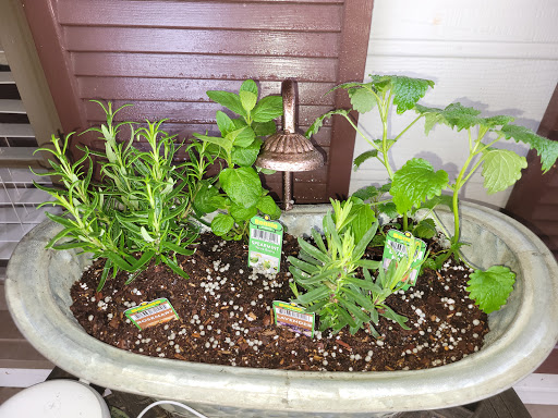 Craft Store «Michaels», reviews and photos, 1445 Riverstone Pkwy # 100, Canton, GA 30114, USA