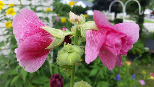 Towing Service «Abel Towing Wrecker & Auto Service», reviews and photos, 1717 Belvidere St, Waukegan, IL 60085, USA