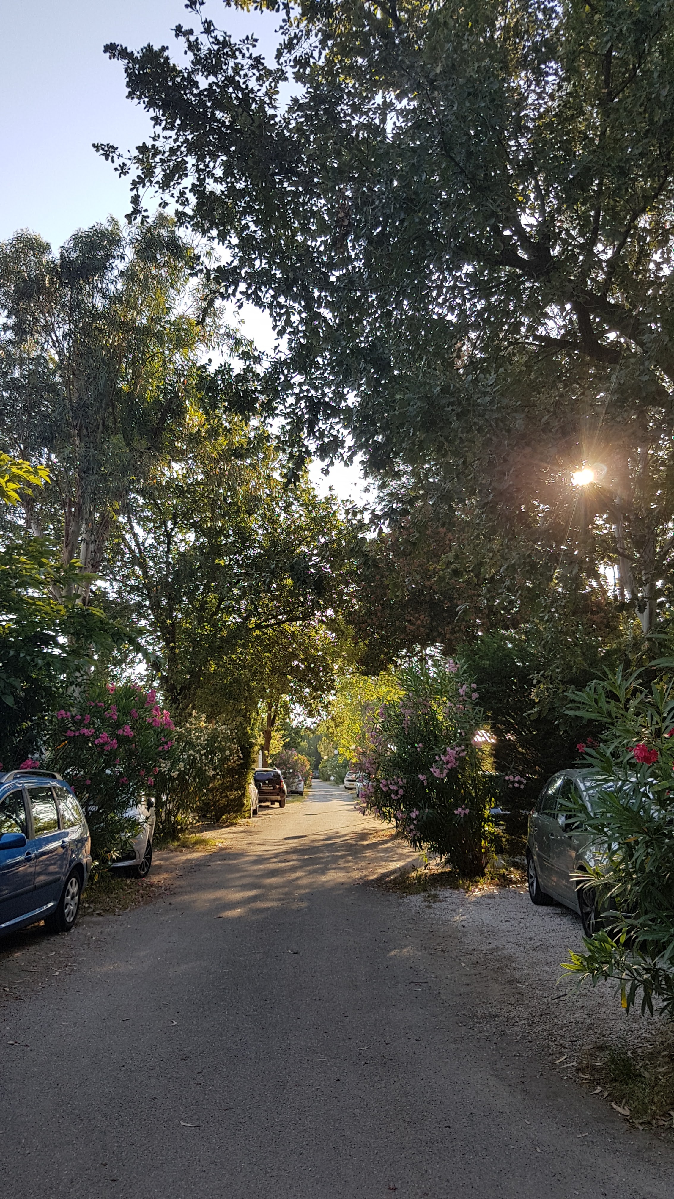 Photo n° 14 de l'avis de Aymeric.i fait le 21/07/2018 à 08:57