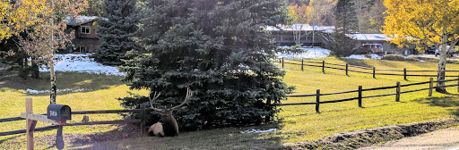 Museum «Hiwan Homestead Museum», reviews and photos, 4208 Timbervale Dr, Evergreen, CO 80439, USA