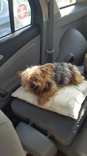 Grocery Store «ACME Markets», reviews and photos, 175 NJ-70, Medford, NJ 08055, USA