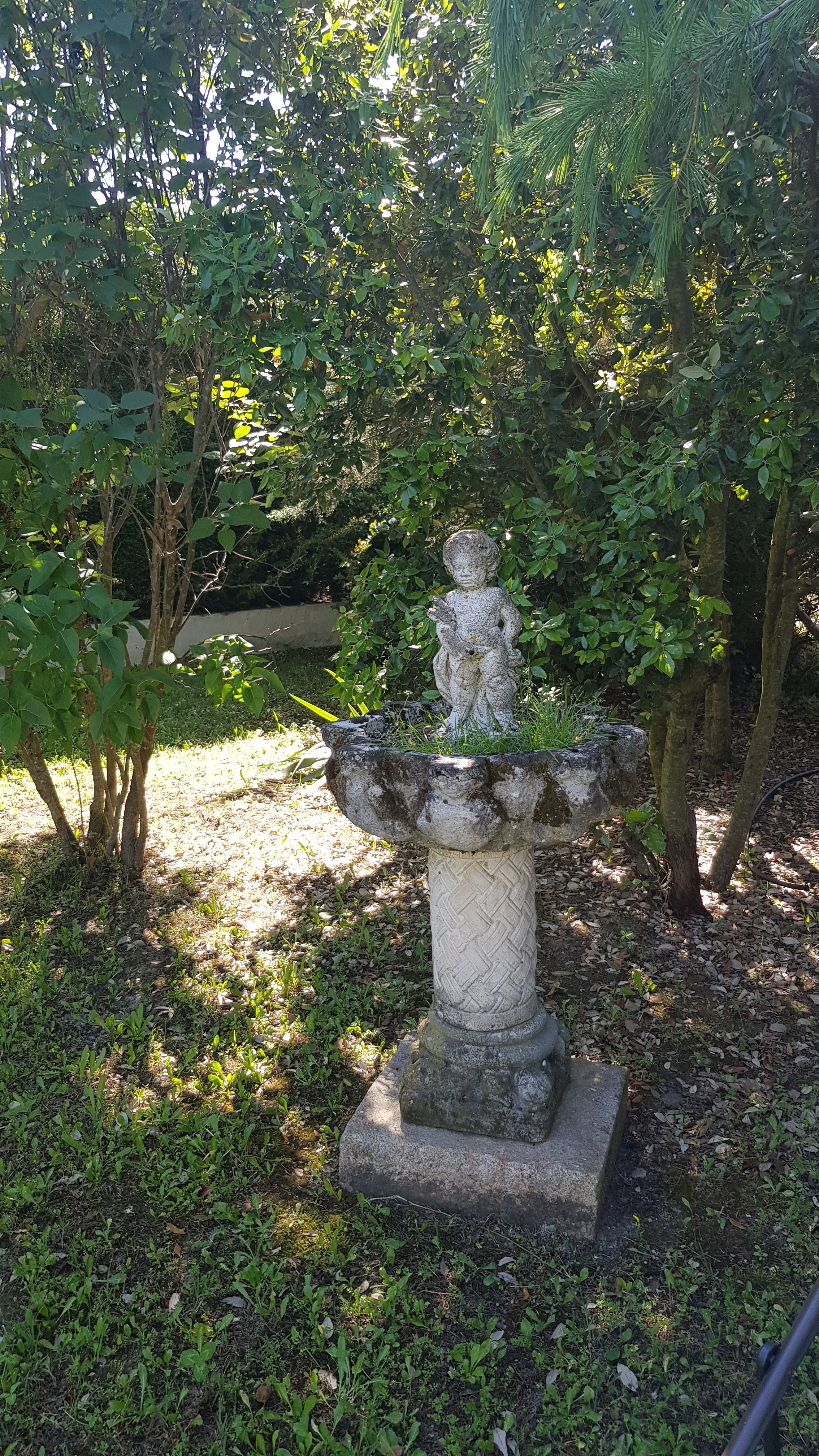 Photo n° 2 de l'avis de Marie.h fait le 26/05/2020 à 12:40