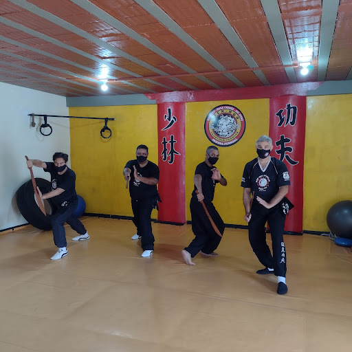 Logo da empresa - BIEN - HOO SHAOLIN
