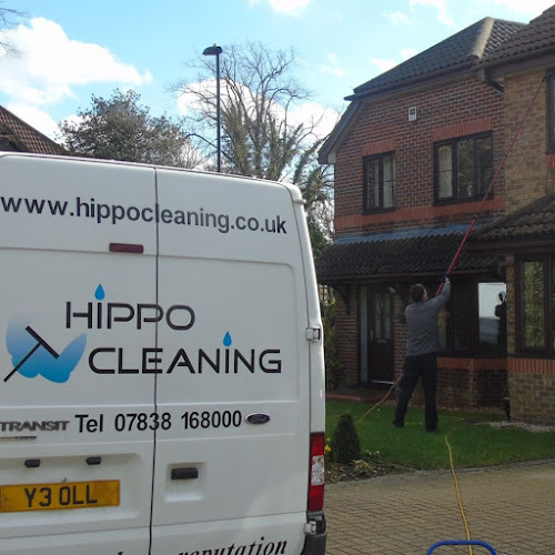 Hippo Cleaning Services - House cleaning service