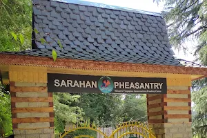 Sarahan Pheasantry image